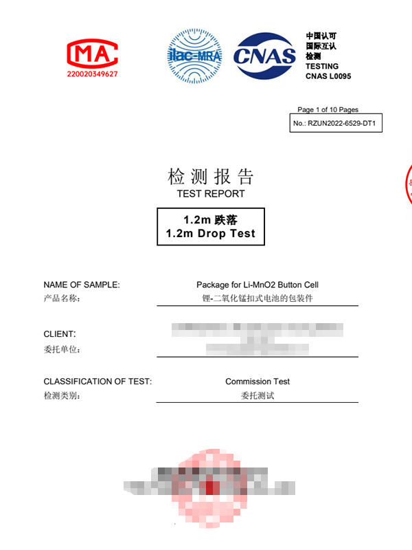 RZUN2022-6529-DT1电子版报告